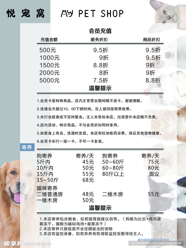价格低性能好的主机