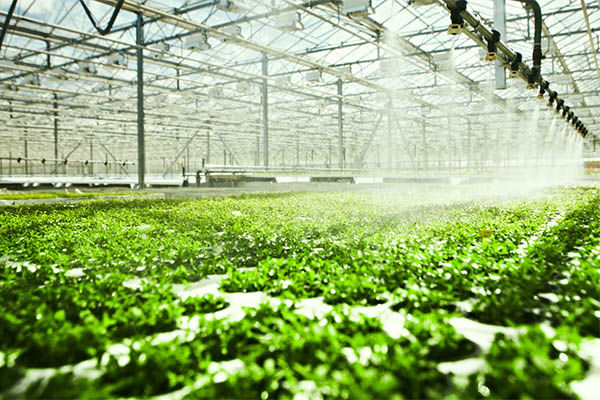 监控主机硬盘怎么清零