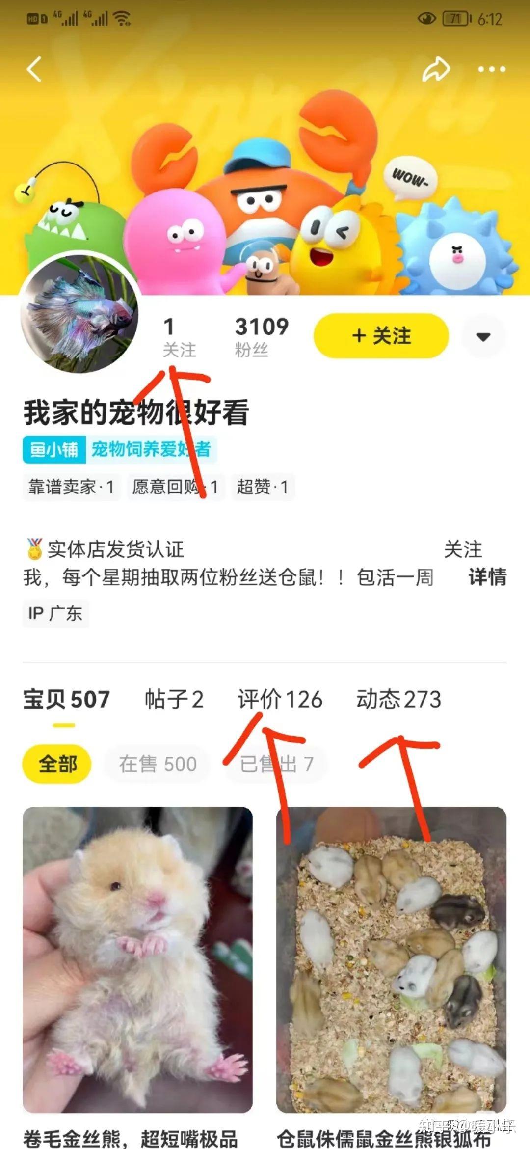 闲鱼淘主机攻略