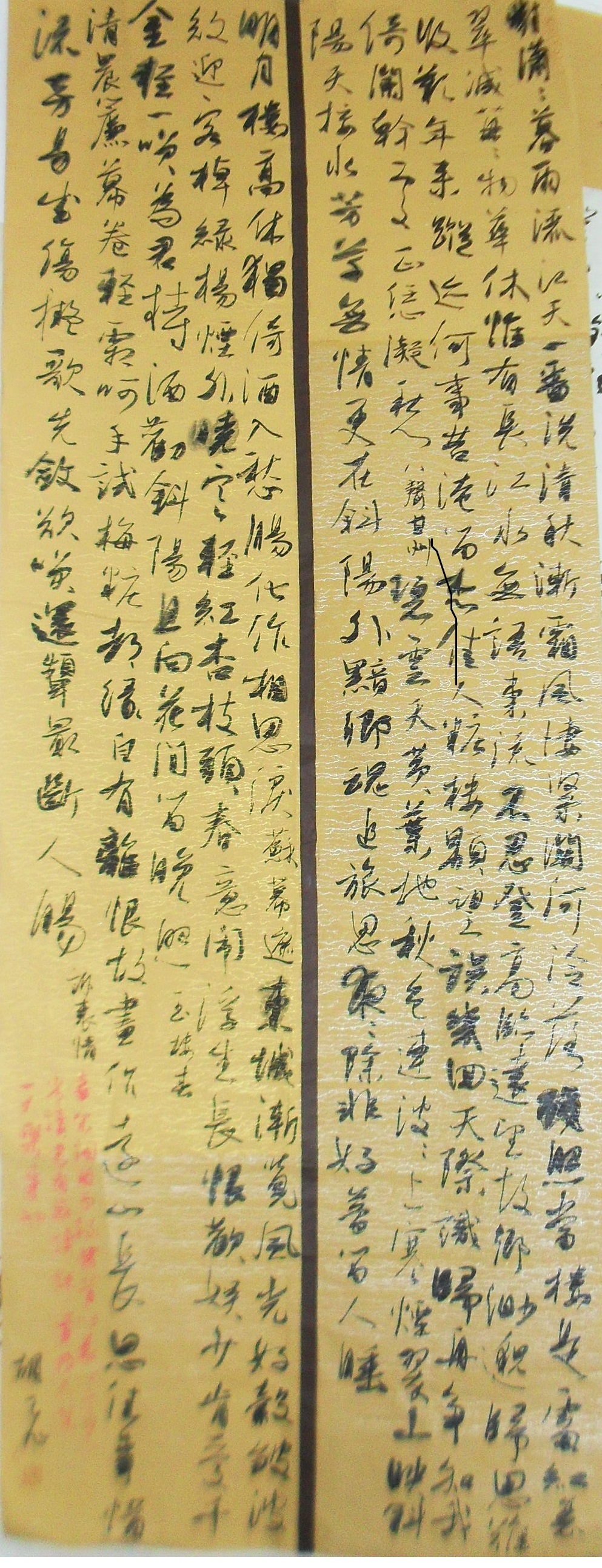 一本小说主机叫胡飞