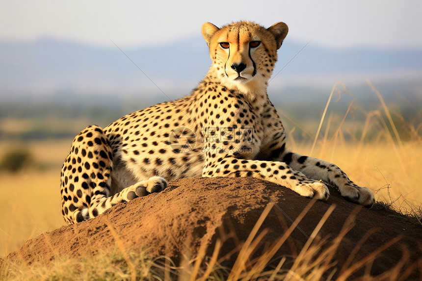 猎豹飞腾音响主机拆装