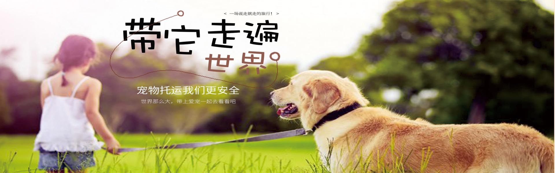 宠物主机攻击力加成