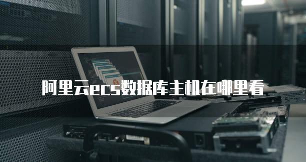 成为数据库的主机
