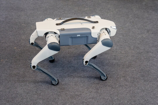 主机狗是什么意思