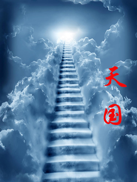 天国拯救主机版帧数