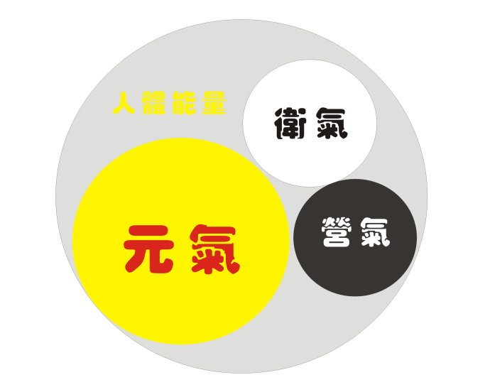 气腹机主机结构
