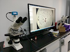 电脑主机风扇转的特别厉害