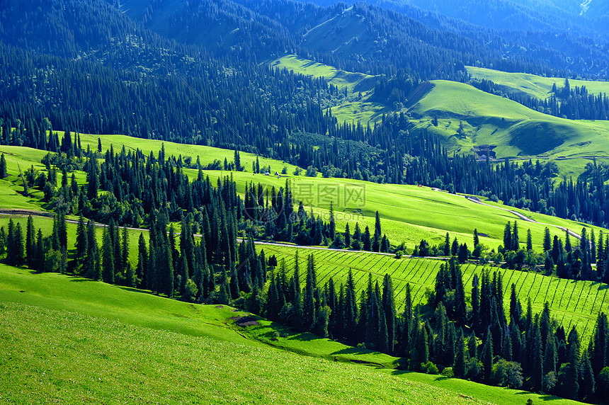新疆智能家居主机