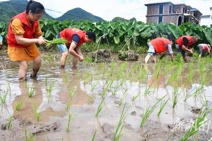插在主机的无线网卡