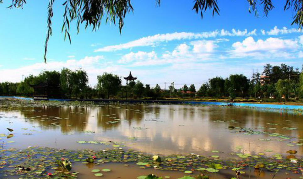 泊头哪里装主机比较好