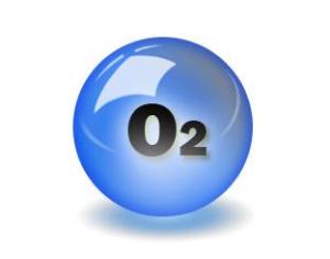 氧气探头主机图有哪些