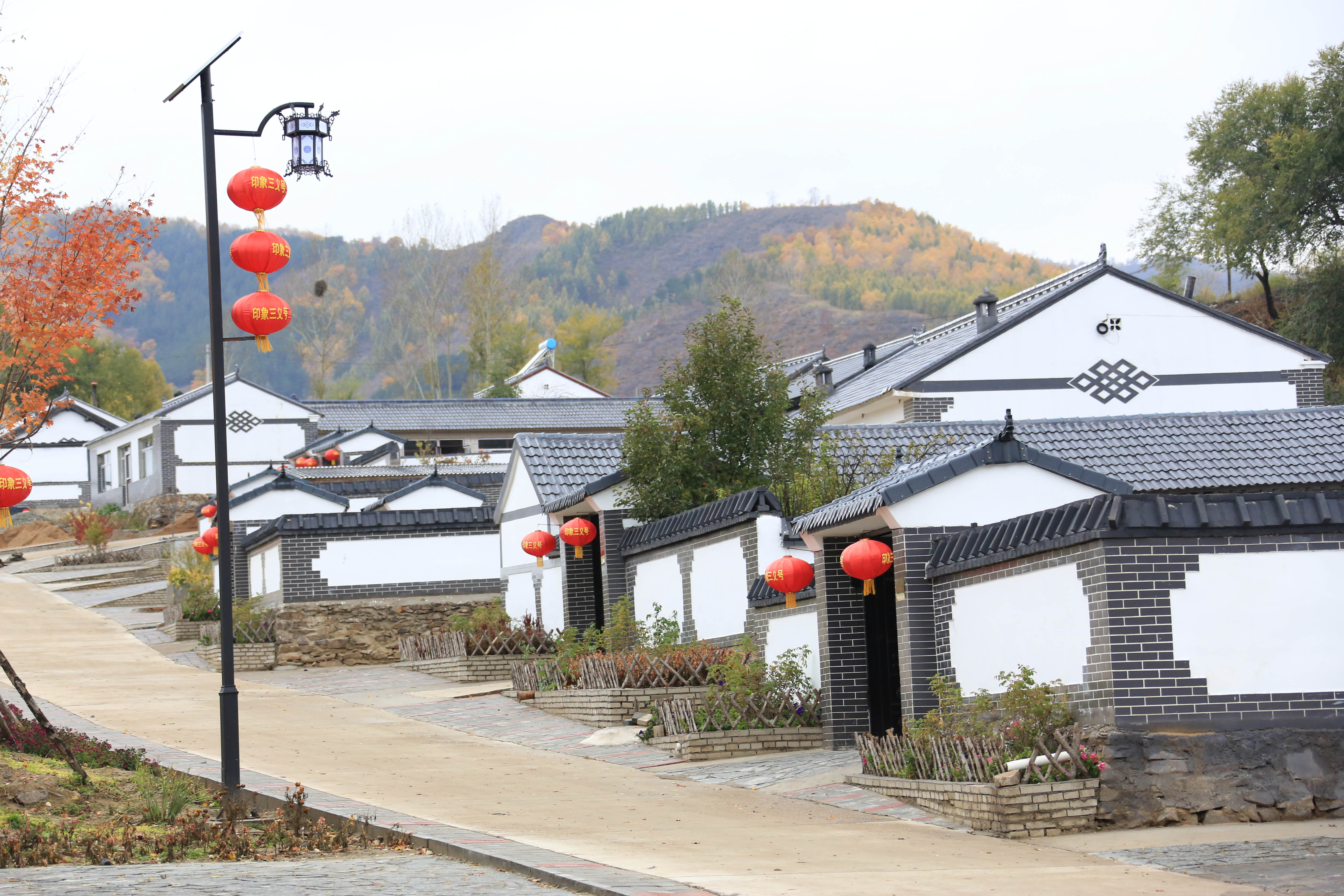 农村合作社主机处理中