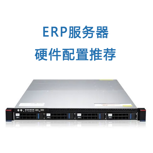 金蝶服务器主机推荐