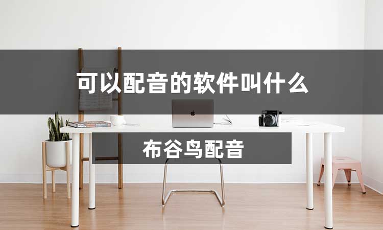 主机审计软件叫什么