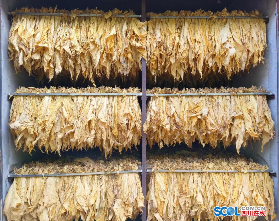 烤烟房设备主机控制器