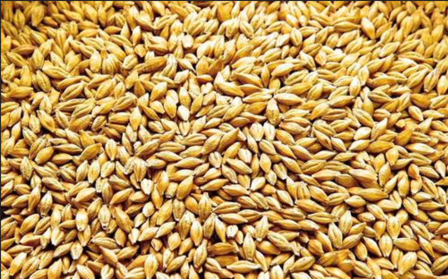 大麦分体电视主机线