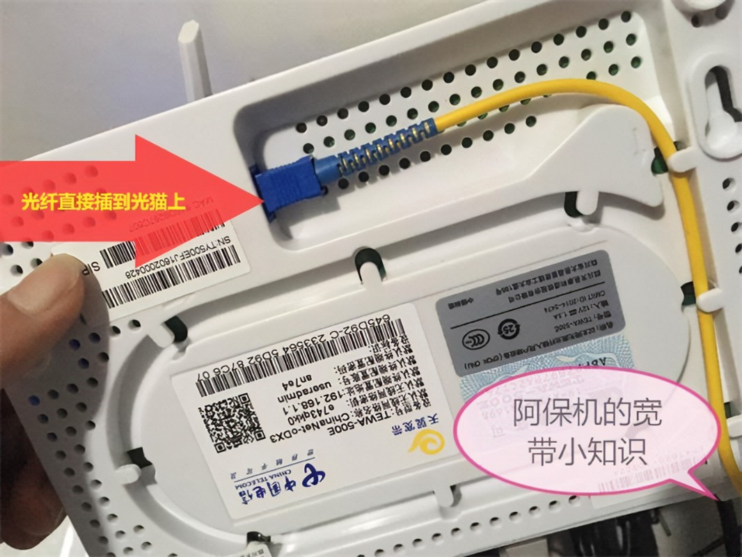 主机网线是插光猫还是路由器