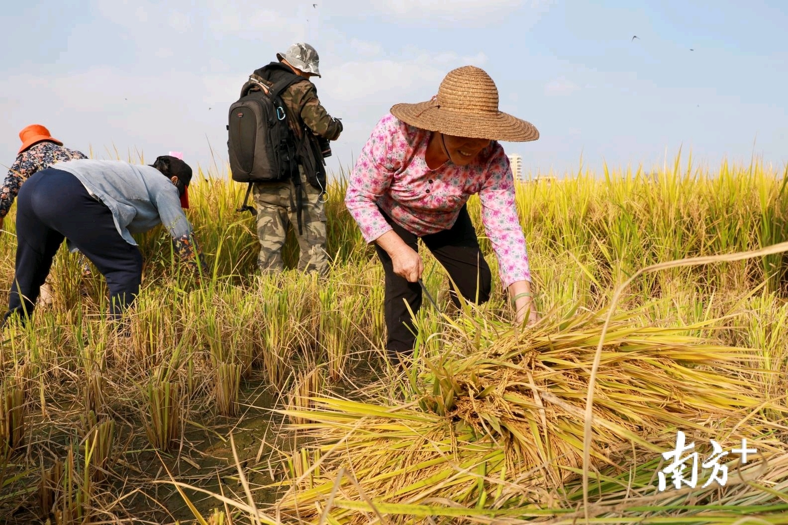 收割机机器主机