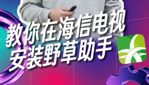 海信安装主机游戏