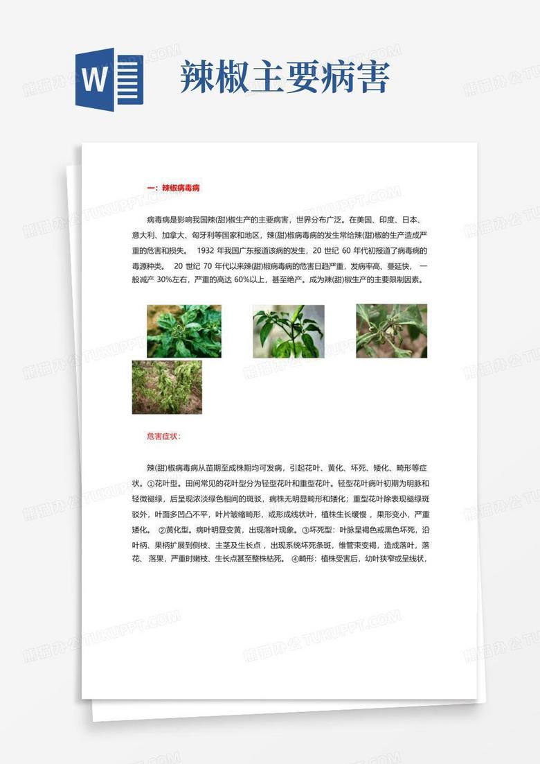 一方辣椒讲主机病害用哪些药