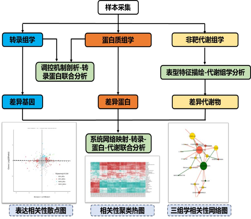 组一台赛车模拟器主机