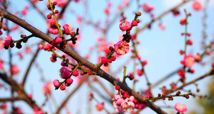 梅湖附近网吧有没有卖主机