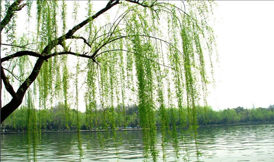 柳明门禁主机