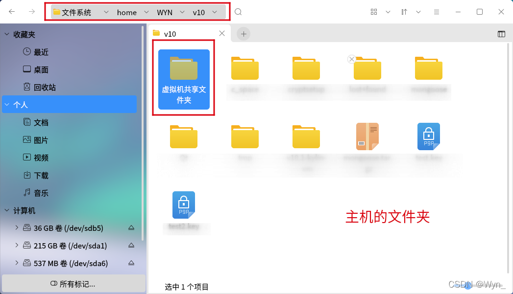 主机往虚拟机传输文件
