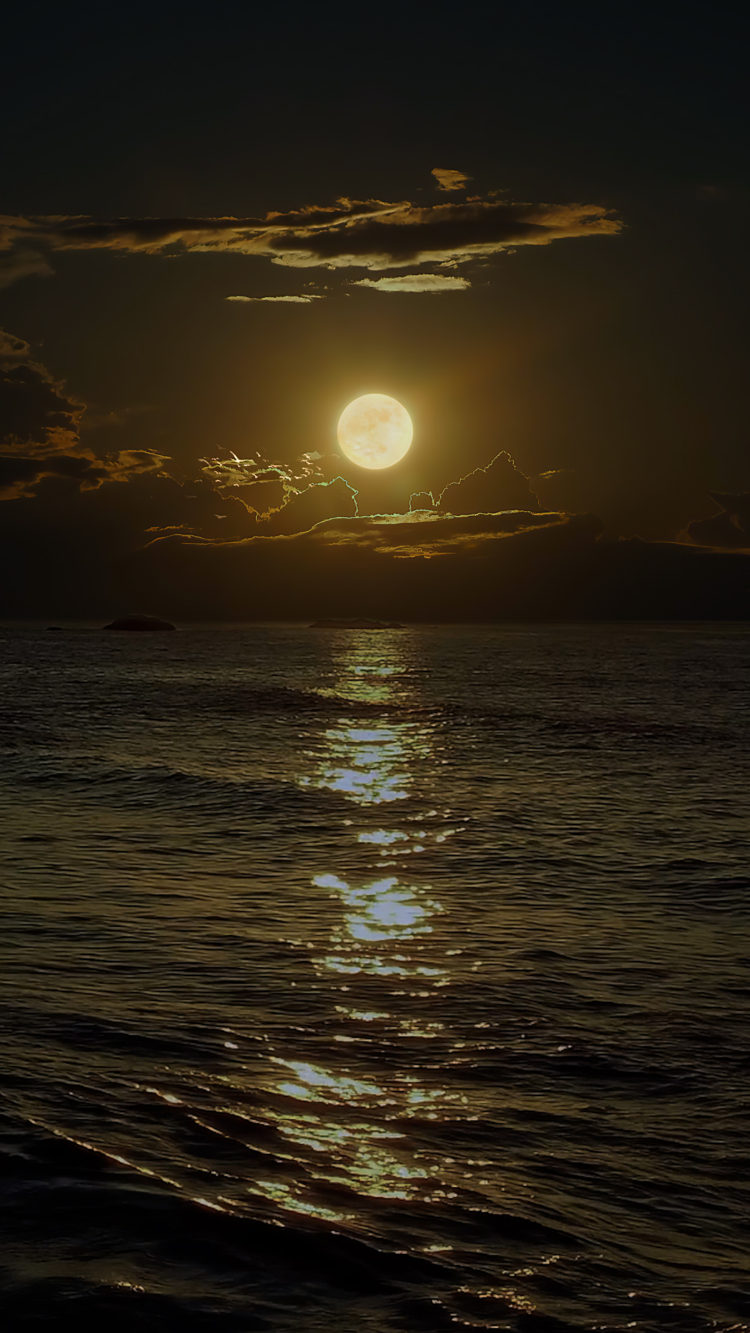 海康智能跟踪球机需要什么主机