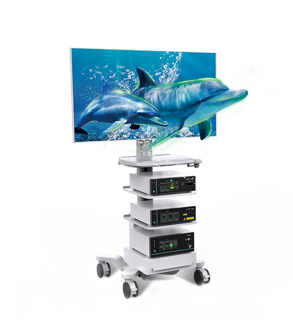 高清内镜主机及电子十二指肠镜