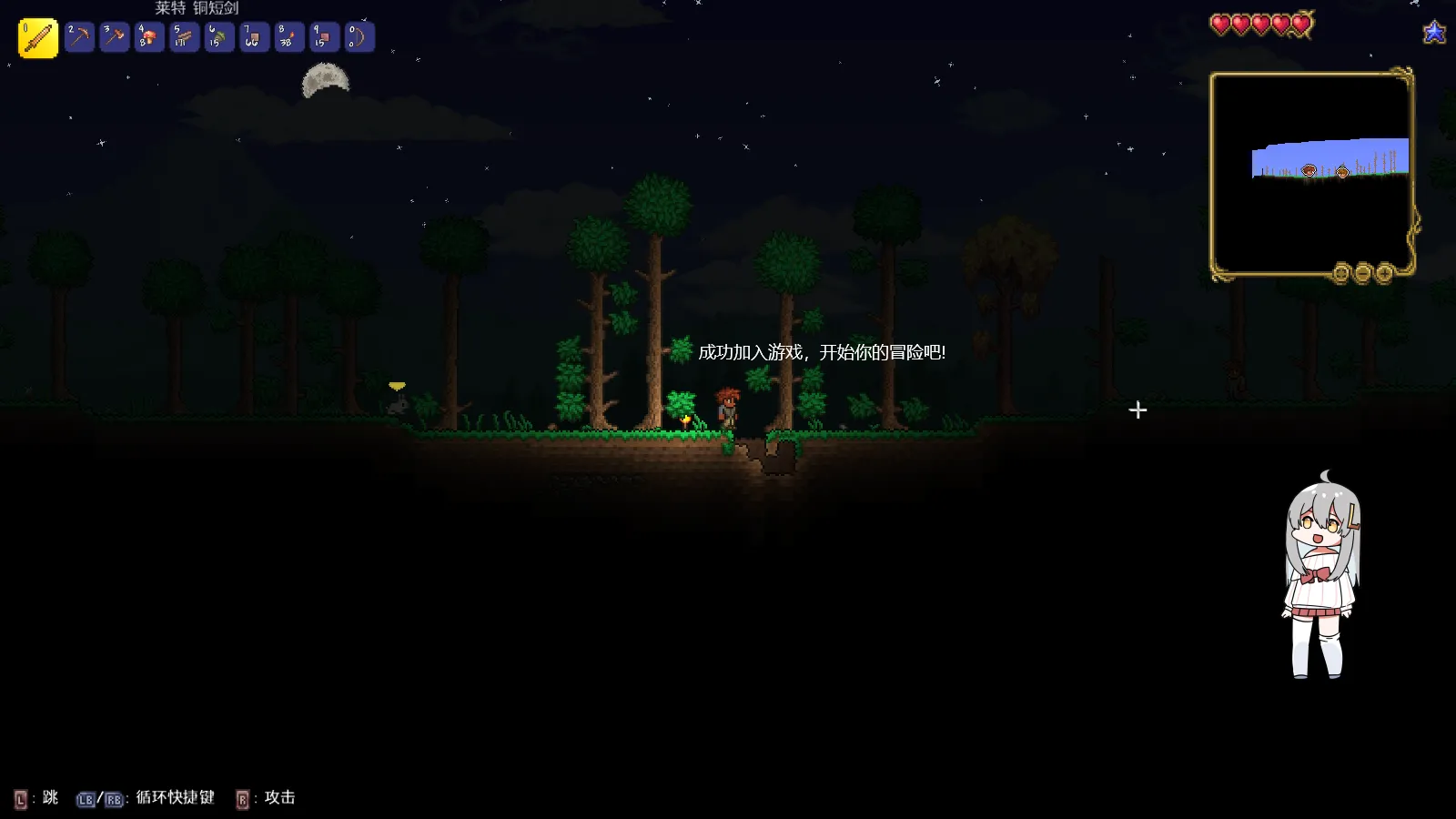 泰拉瑞亚主机版双人