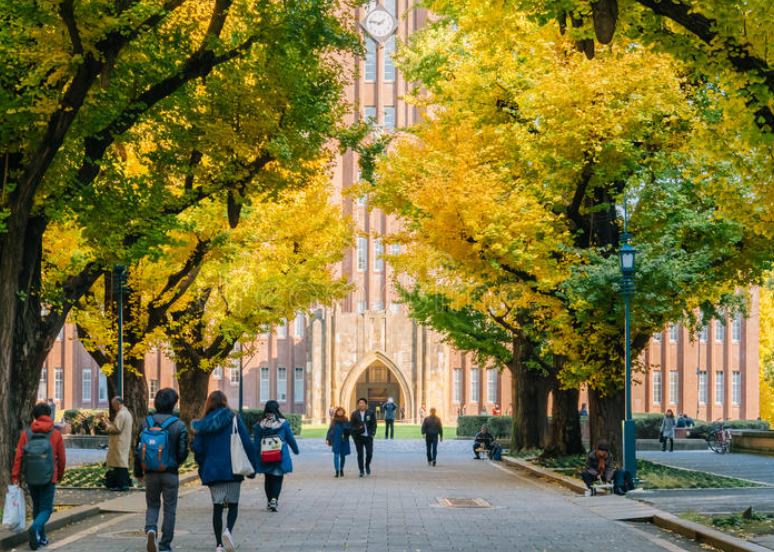 大学主机党