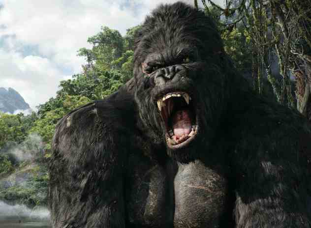 金刚之星主机内存条