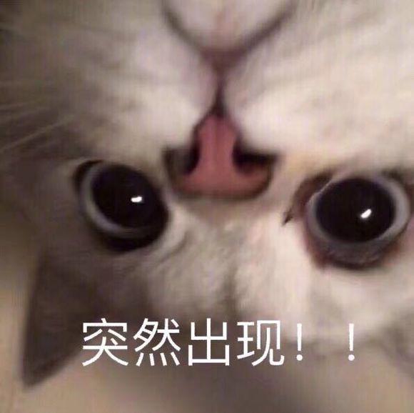 出现很多个服务主机