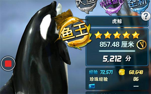 能钓鱼的主机游戏