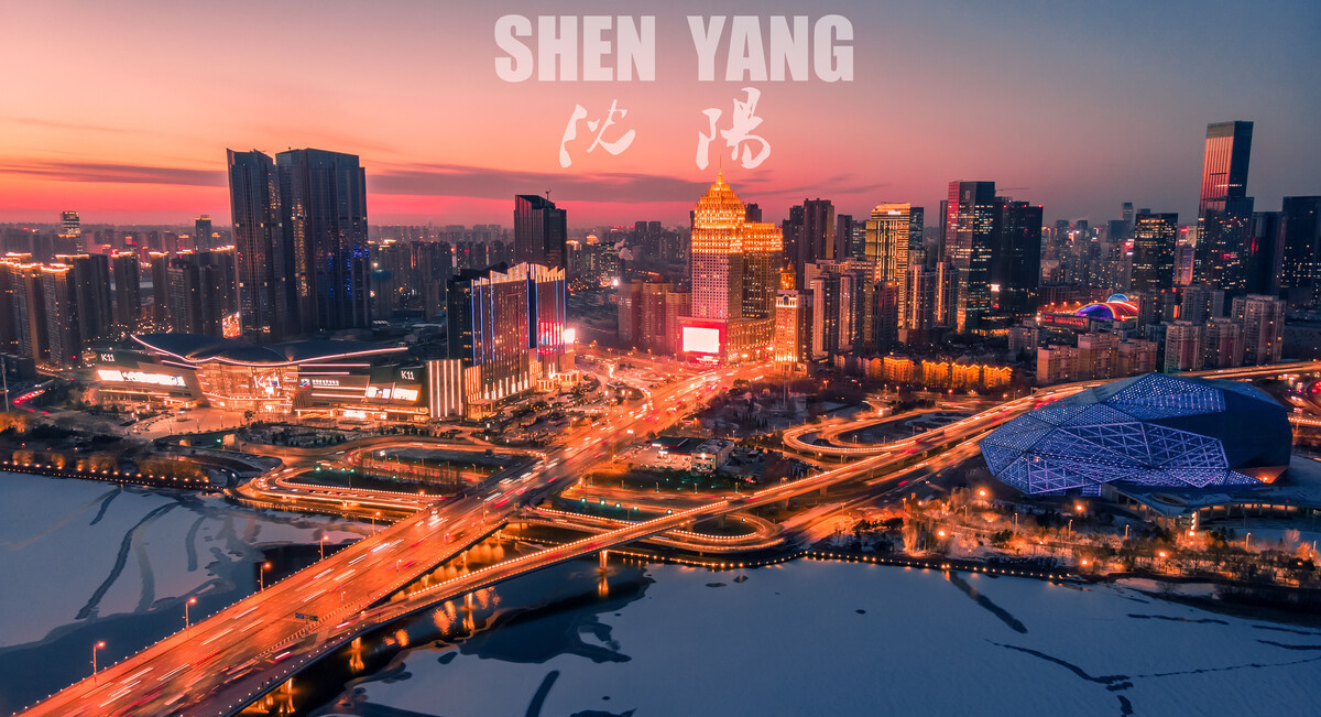 沈阳蓝光电梯主机的价格