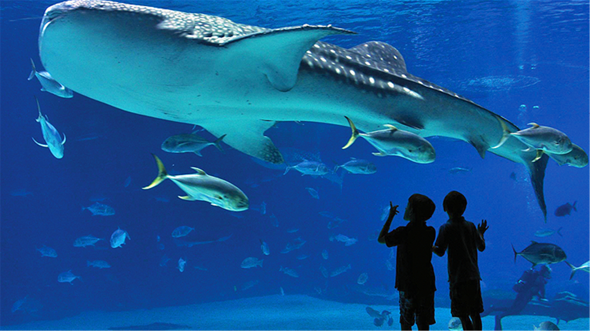 最大的主机游戏多少内存