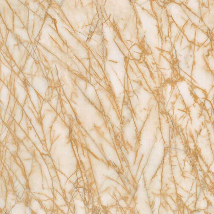 红蜘蛛电脑主机