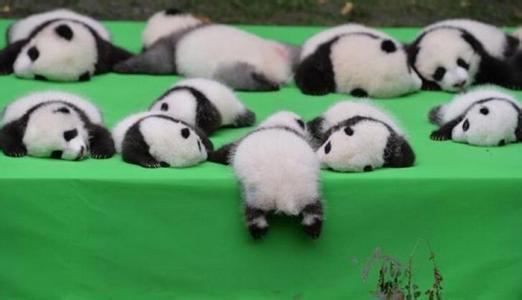 主机摔了一下老是死机