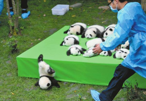 主机摔了一下老是死机