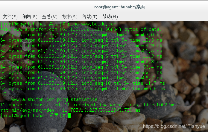 虚拟机仅主机模式无法上网