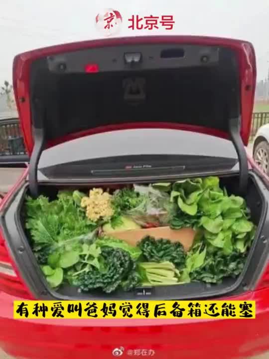 主机放后备厢