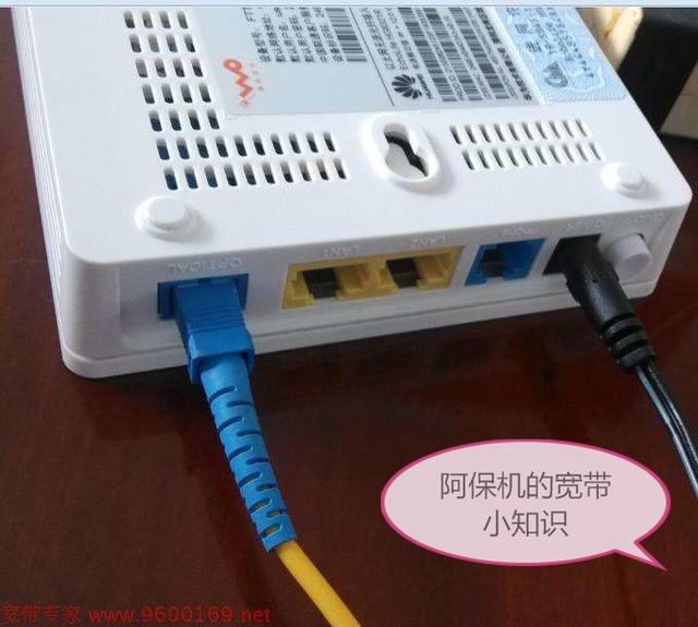 主机网线是插光猫还是路由器