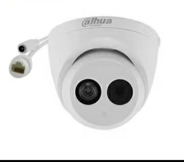 大华摄像头为什么显亍找到不主机