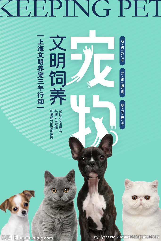 宠物主机攻击力加成