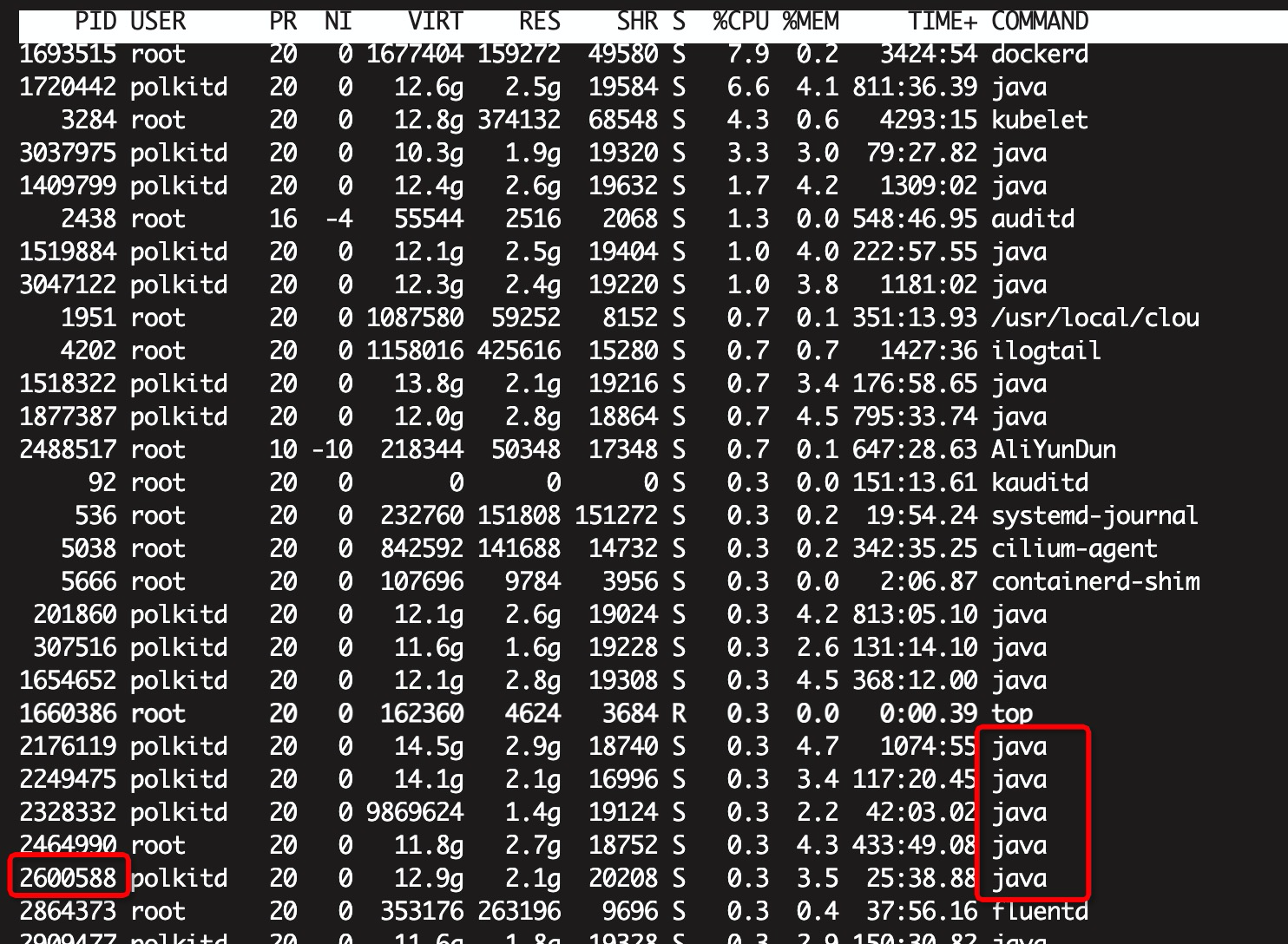 宿主机查询进程内存
