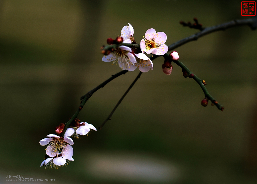 梅湖附近网吧有没有卖主机