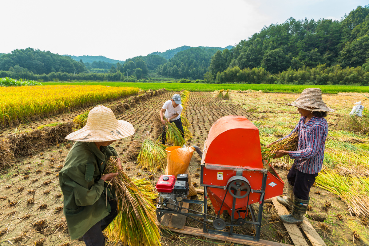 收割机机器主机
