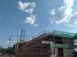 印尼玻雅主机招标