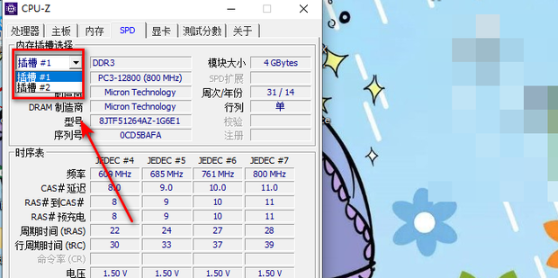 主机可以装几个内存